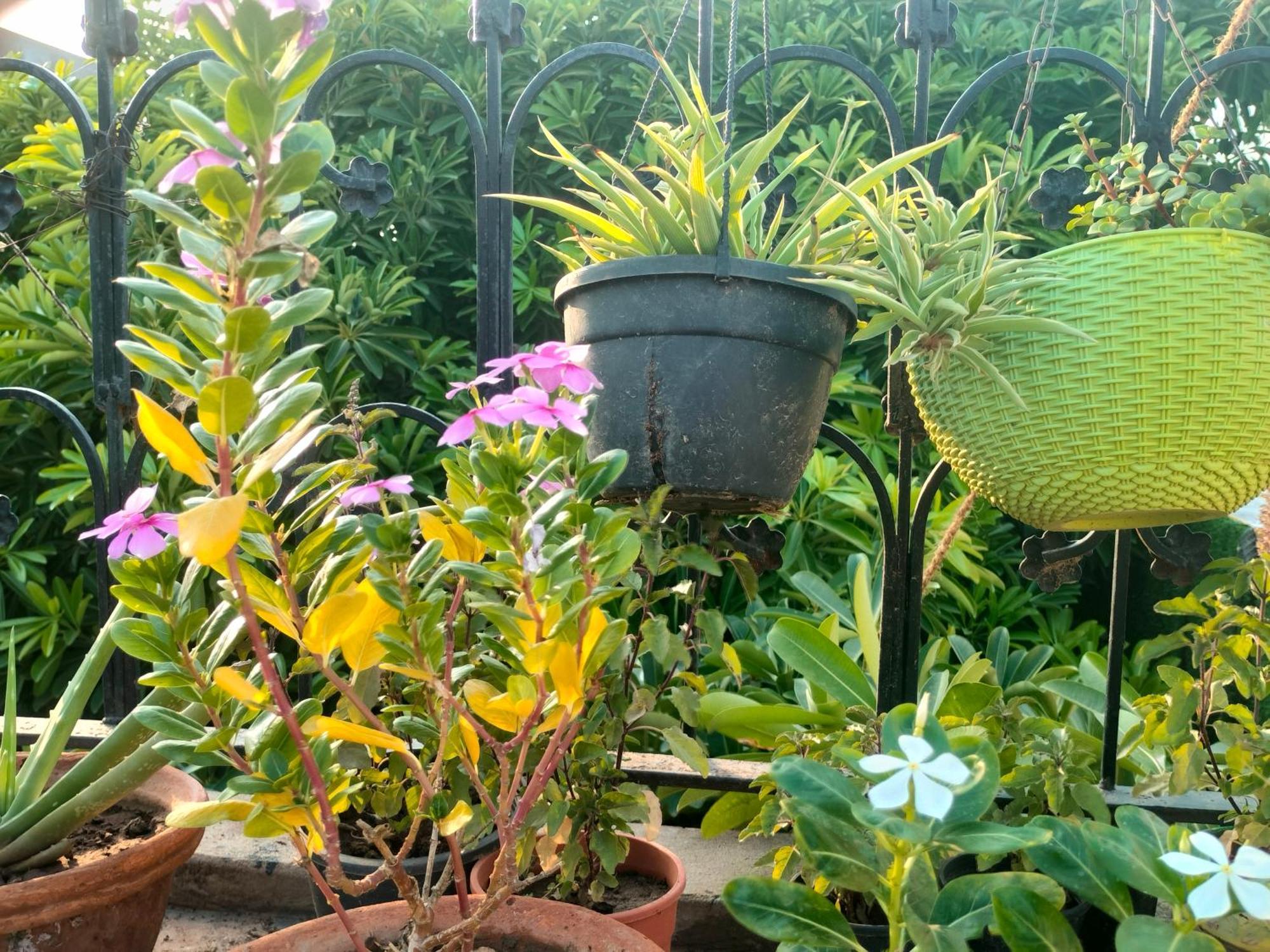 Kishan Home Stay Mathura Luaran gambar