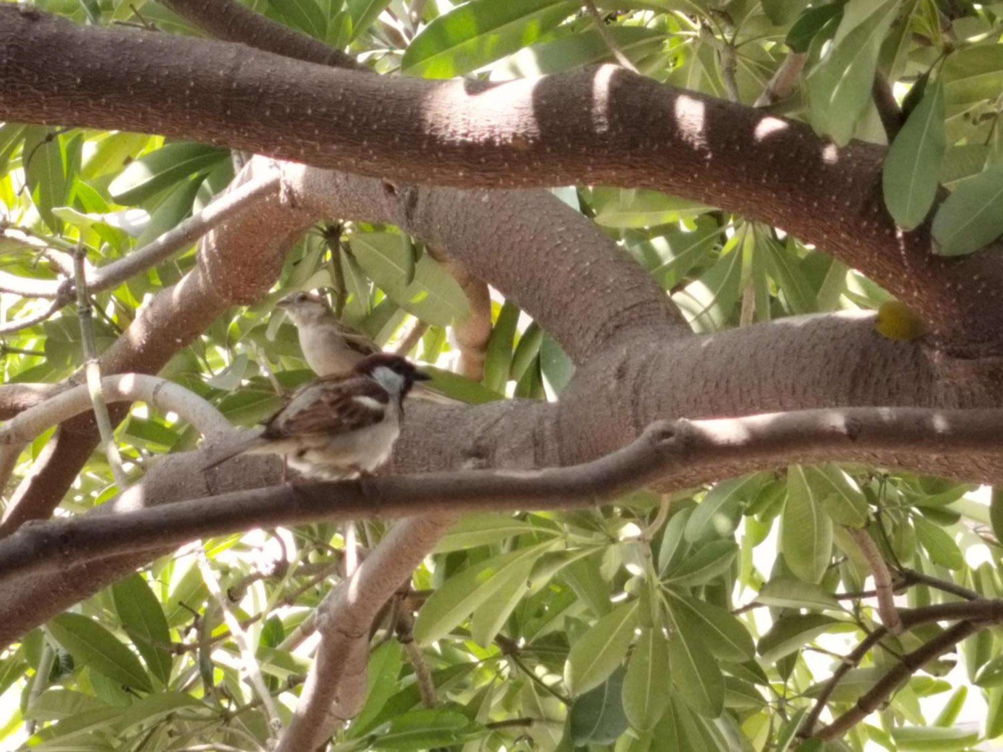 Kishan Home Stay Mathura Luaran gambar